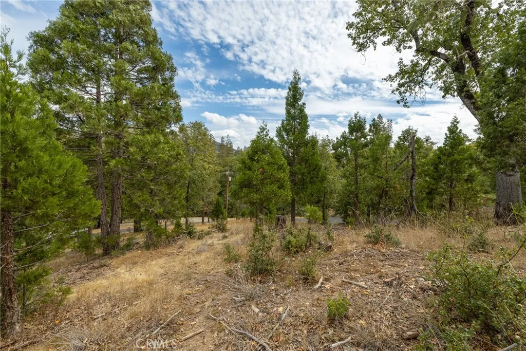 Additional image 67 of 26 Timberview, North Fork, CA 93643