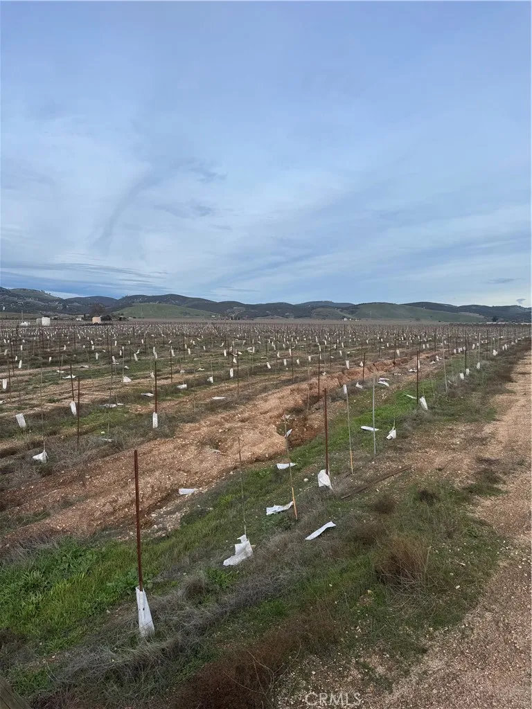 Additional image 46 of 48655 Lockwood Jolon Road, Lockwood, CA 93932
