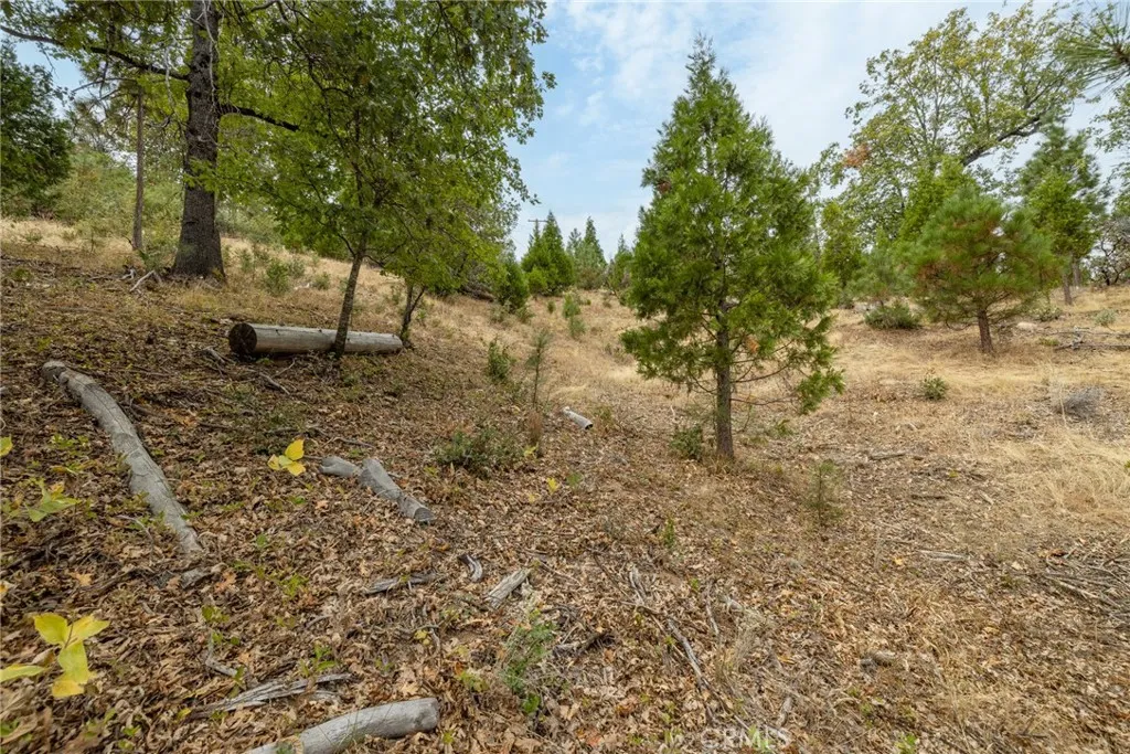 Additional image 19 of 26 Timberview, North Fork, CA 93643