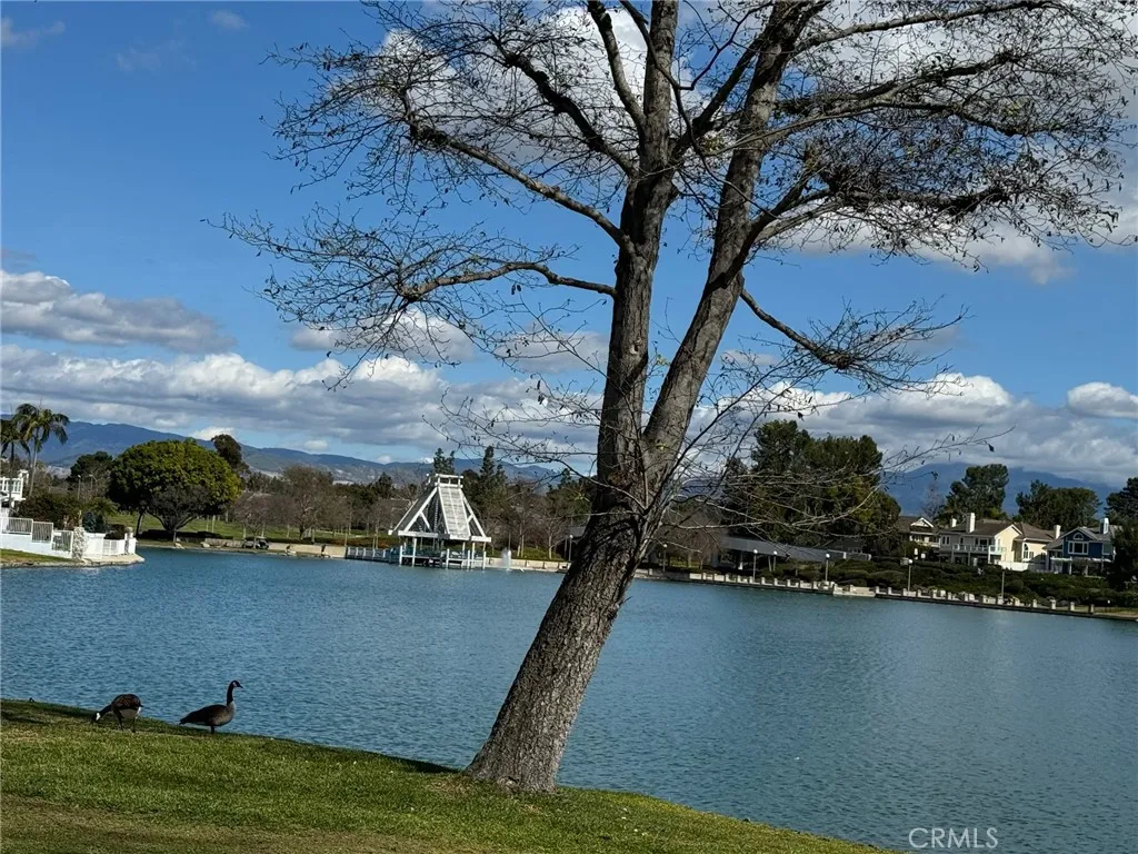 Additional image 51 of 12 Brookdale, Irvine, CA 92604