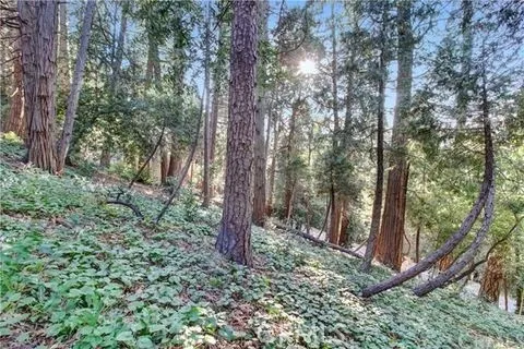 Additional image 14 of 2661 Scenic, Crestline, CA 92325