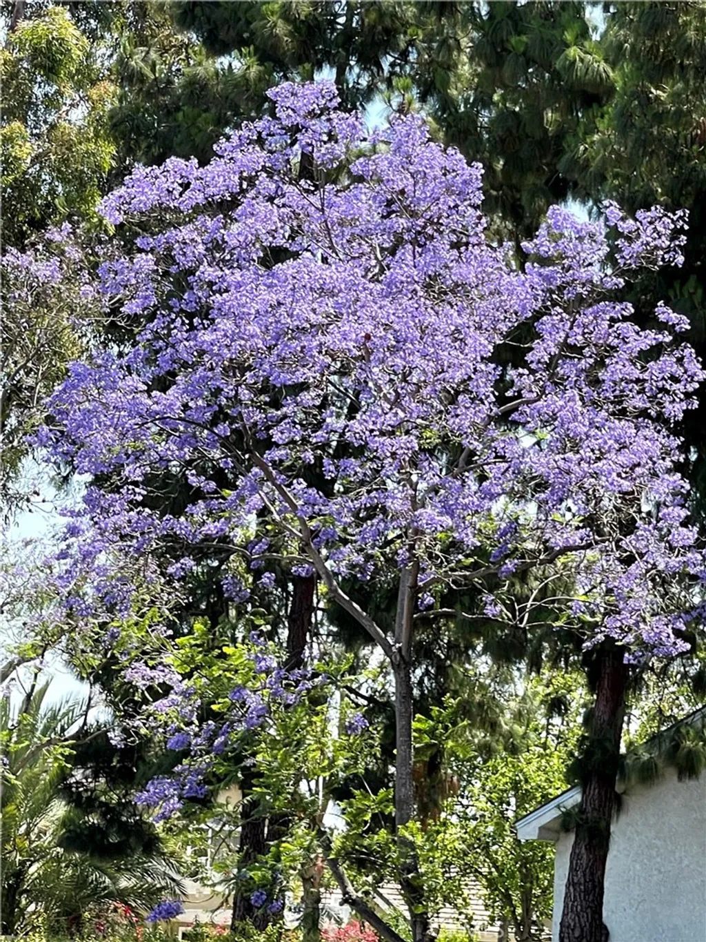 Additional image 26 of 3 Rushingwind Unit 4, Irvine, CA 92614