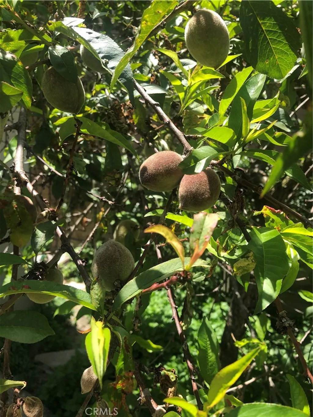 Additional image 23 of 18 Paseo Canos, San Clemente, CA 92673