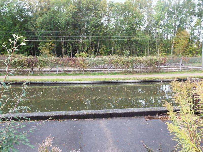 Additional image 12 of Raddlebarn Farm Drive, Selly Oak, Birmingham, B29 6UN