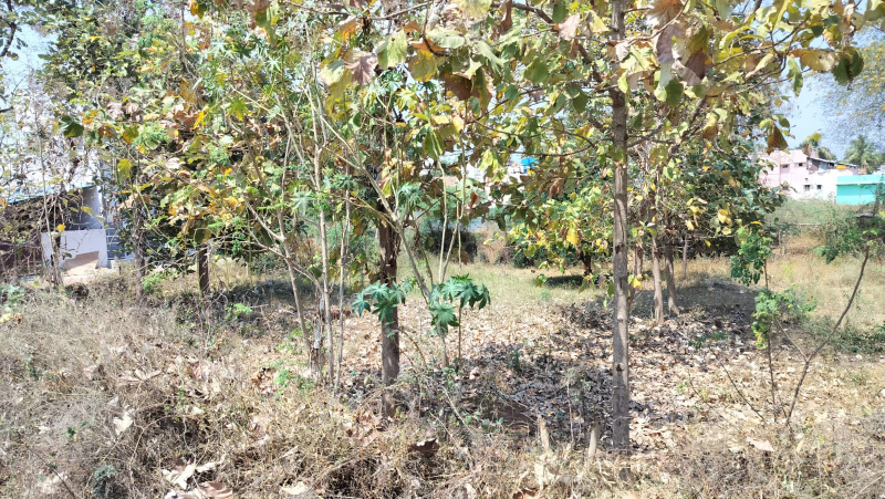 Additional image 3 of Samayanallur, Madurai