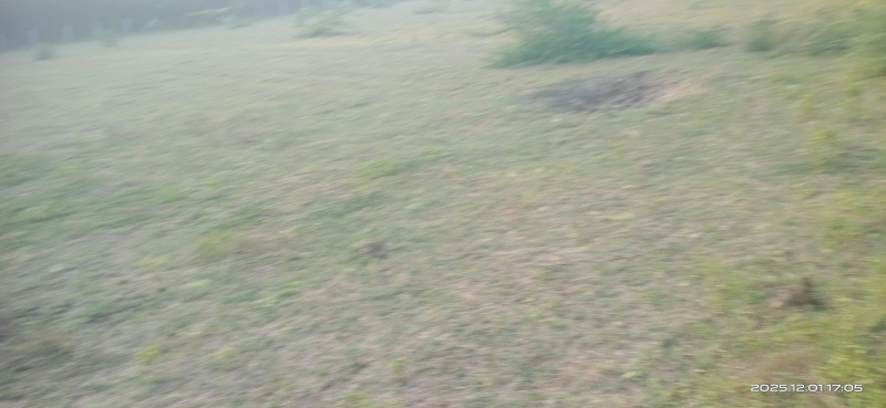 Additional image 2 of Manjusar, Vadodara