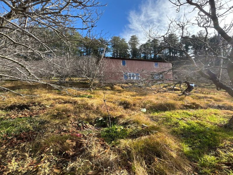 Additional image 2 of Fagu, Shimla