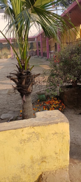 Additional image 2 of Vibhav Nagar, Agra