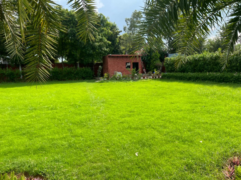 Sirohi, Faridabad