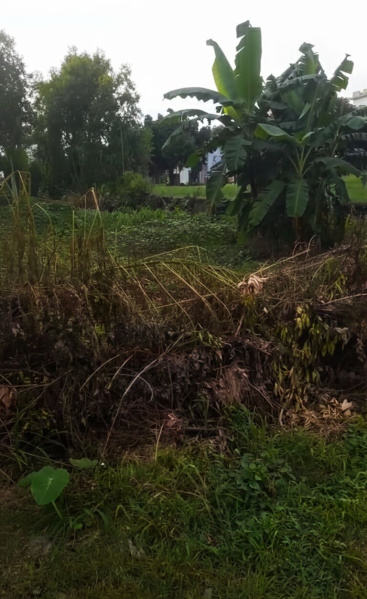 Additional image 3 of Prempur loshgyani, Haldwani