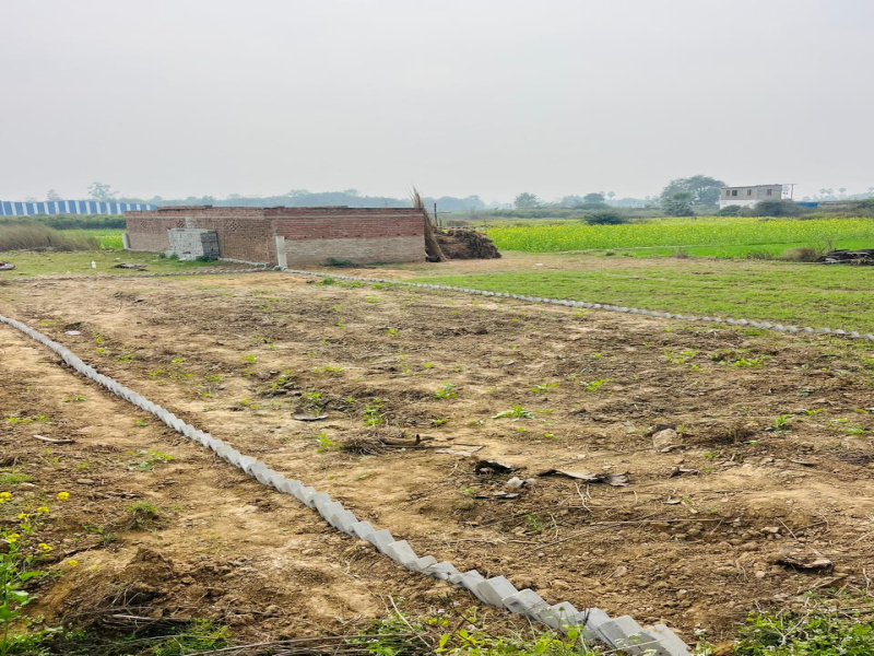 Additional image 2 of Kanhauli, Bihta, Patna