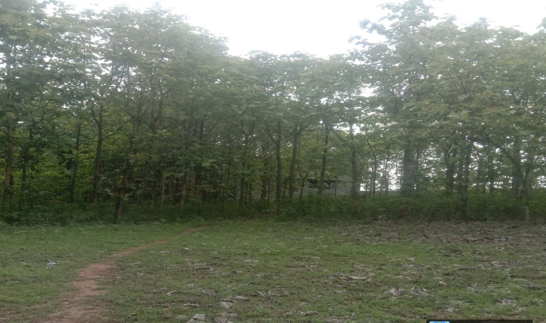 Additional image 2 of Manuganahally, Mysore