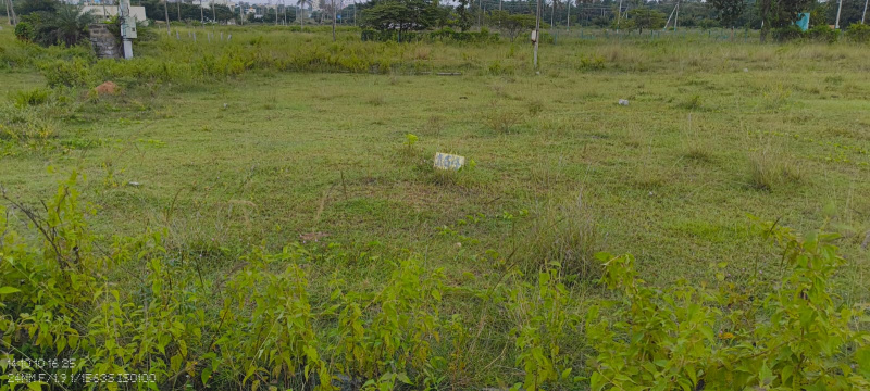 Additional image 3 of Arasinakunte, Nelamangala, Bangalore