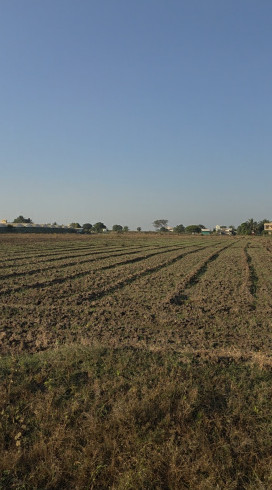 Additional image 3 of Shinde, Nashik