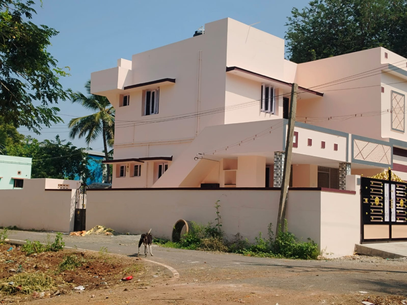 Additional image 2 of Paravai, Madurai