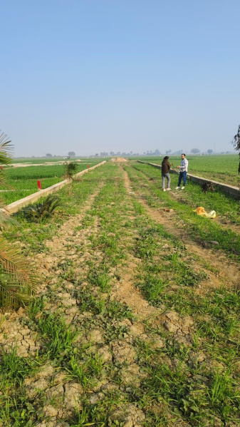 Additional image 3 of Khushrupur, Patna