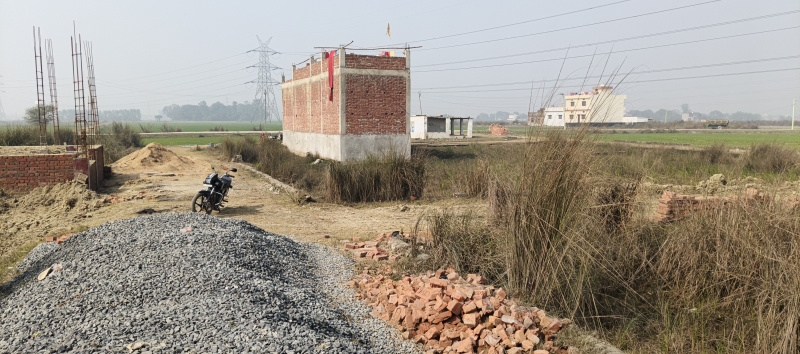 Additional image 2 of Tal Kandala, Gorakhpur