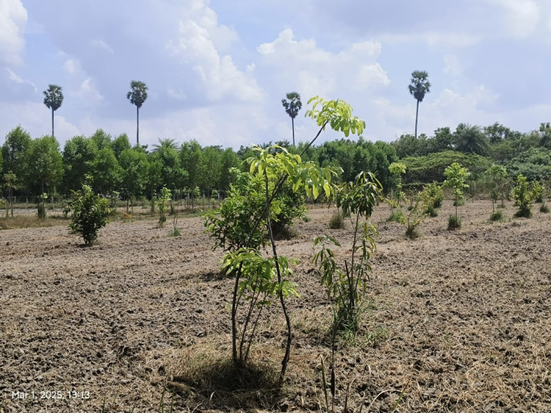 Additional image 3 of Madhurandagam, Chennai