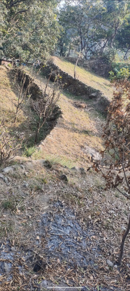 Additional image 3 of Dogaon, Nainital