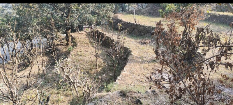 Additional image 2 of Dogaon, Nainital