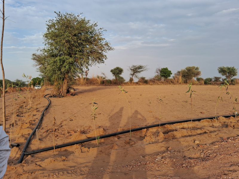 Additional image 3 of Asalpur, Jaipur