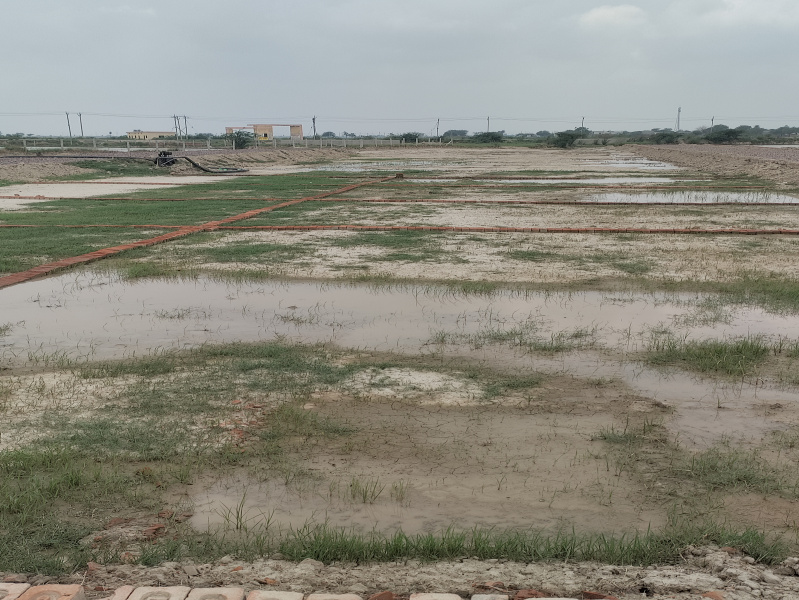 Additional image 2 of Noida Expressway, Noida