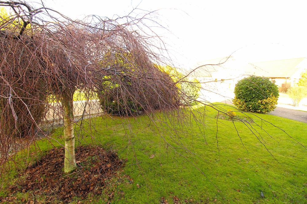 Additional image 4 of Huxterstone Drive, Kingswells, AB15