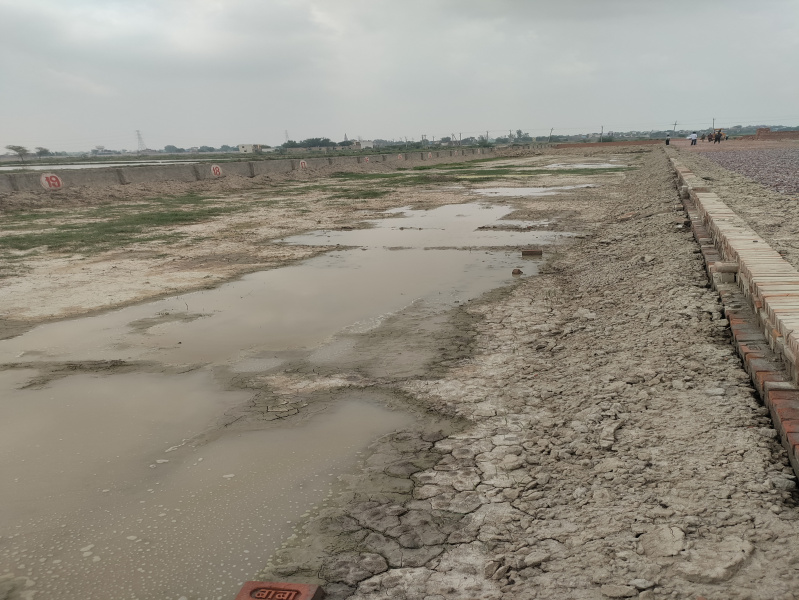 Noida Expressway, Noida