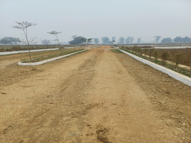 Jangal Kauria, Gorakhpur