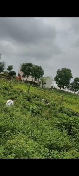 Additional image 3 of Phulera, Jaipur