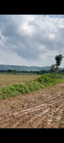 Additional image 3 of Tehla, Alwar