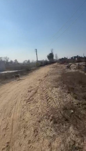 Additional image 2 of Suman Nagar, Haridwar