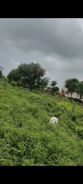 Additional image 2 of Phulera, Jaipur