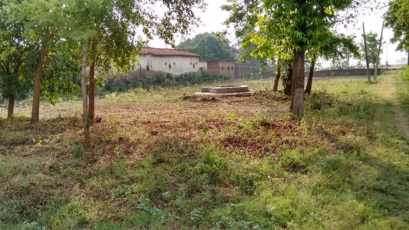 Additional image 3 of Bikram, Patna