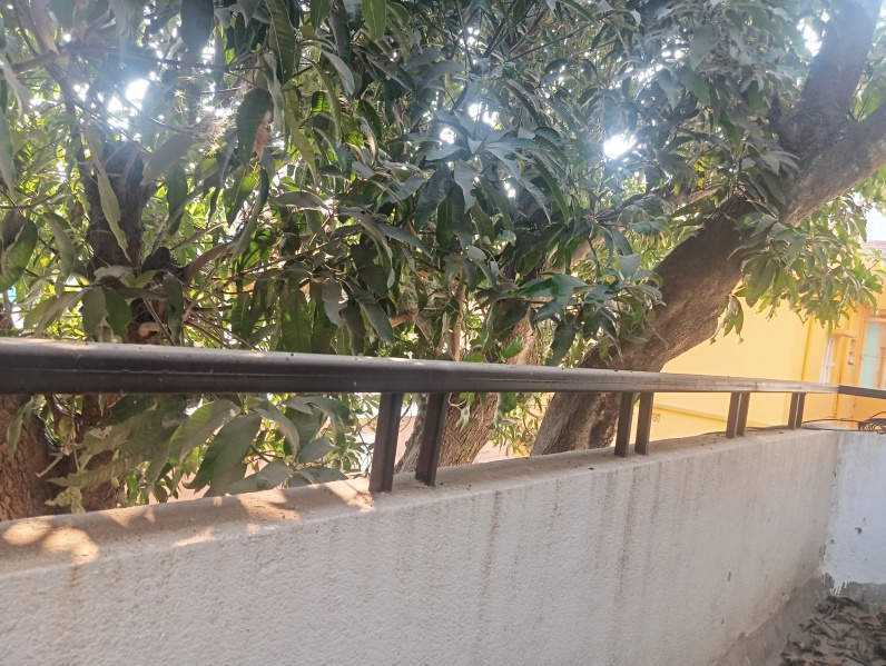 Additional image 3 of Kadru, Ashok Nagar, Ranchi