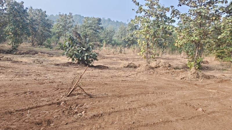 Additional image 3 of Murbad, Thane