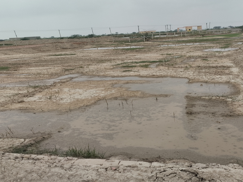 Additional image 3 of Noida Expressway, Noida