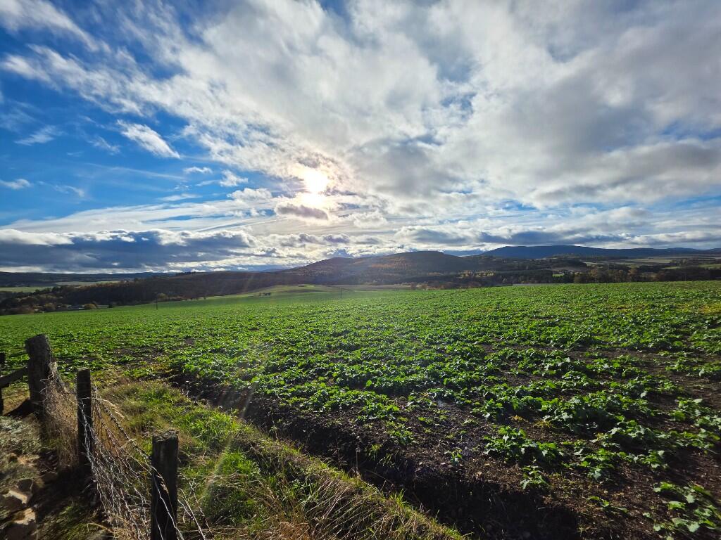 Additional image 25 of Aigan Mhor, Craigellachie, by Aberlour AB38 9QX