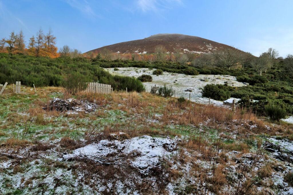 Additional image 20 of East Brae of Scurdargue, Rhynie, Huntly, Aberdeenshire, AB54
