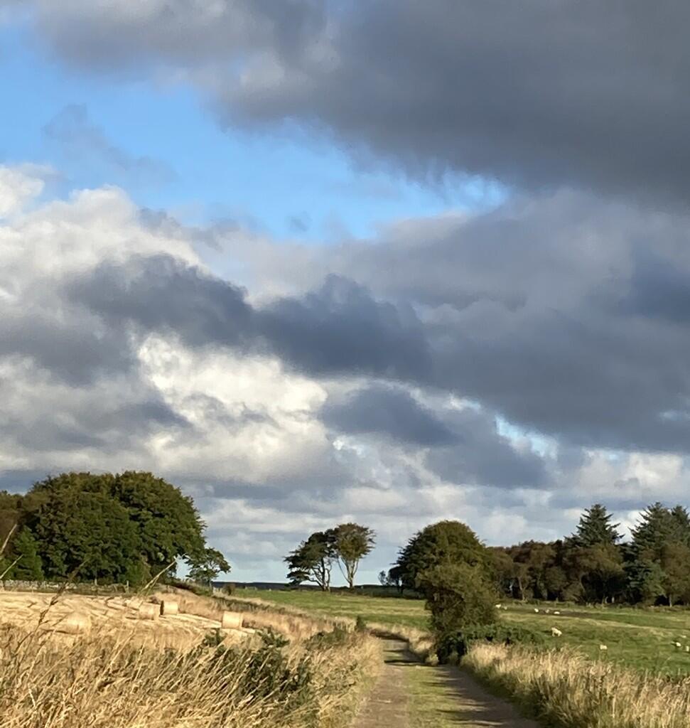 Additional image 28 of AB43