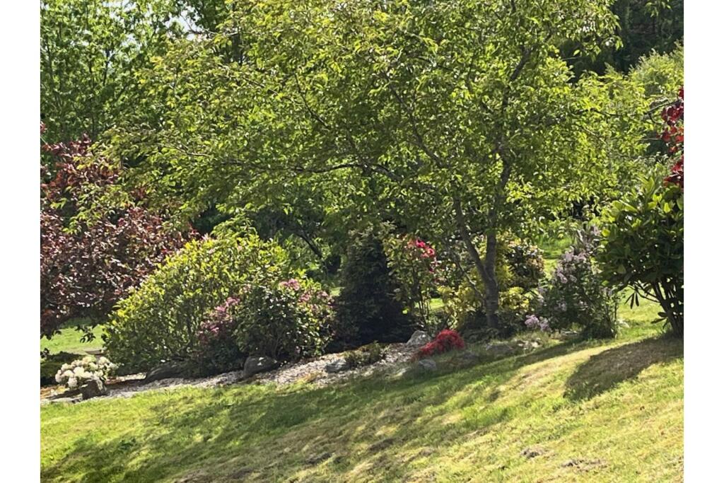 Additional image 24 of Mulben, Keith, AB55