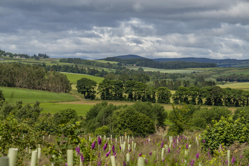 Additional image 15 of Logie Woodlands, Pitcaple, Inverurie, AB51 5EE