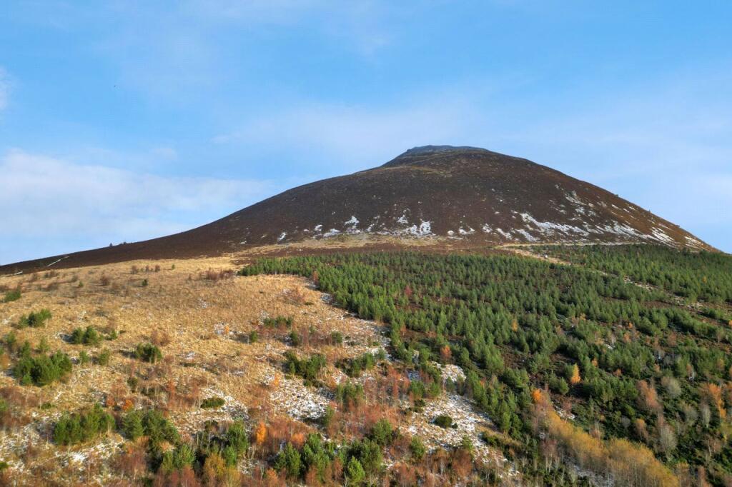 Additional image 5 of East Brae of Scurdargue, Rhynie, Huntly, Aberdeenshire, AB54