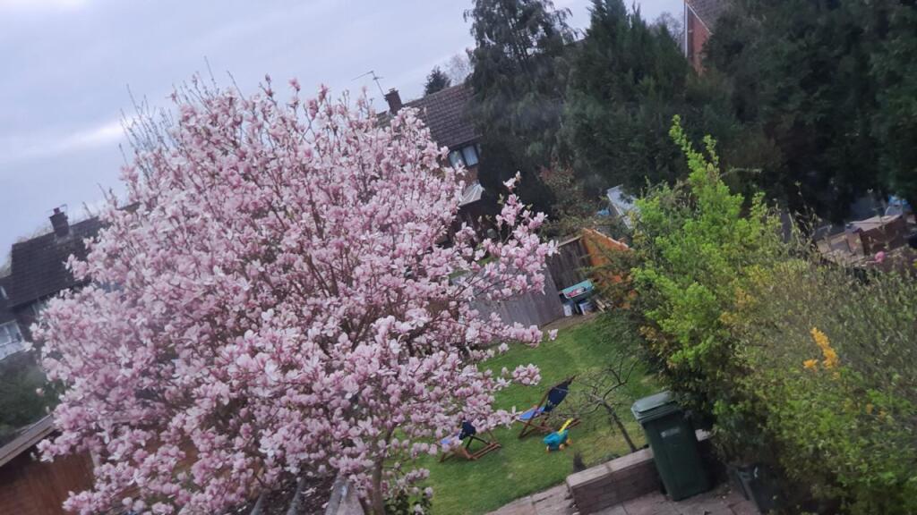 Additional image 20 of Cell Barnes Lane, St. Albans, AL1 5QJ