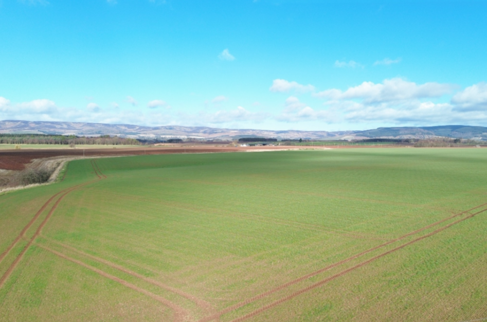 Additional image 7 of Land At Luthermuir, Laurencekirk, AB30 1BA