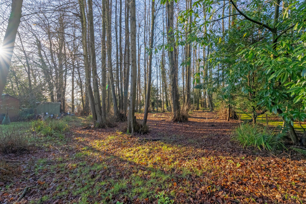 Additional image 36 of Pine Grove, Brookmans Park, AL9