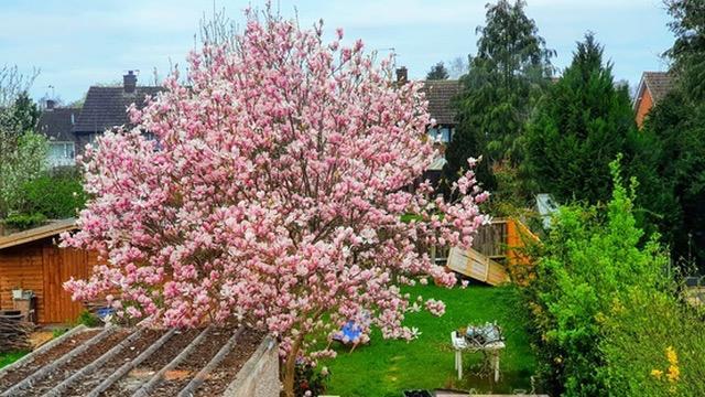 Additional image 16 of Cell Barnes Lane, St. Albans, AL1 5QJ