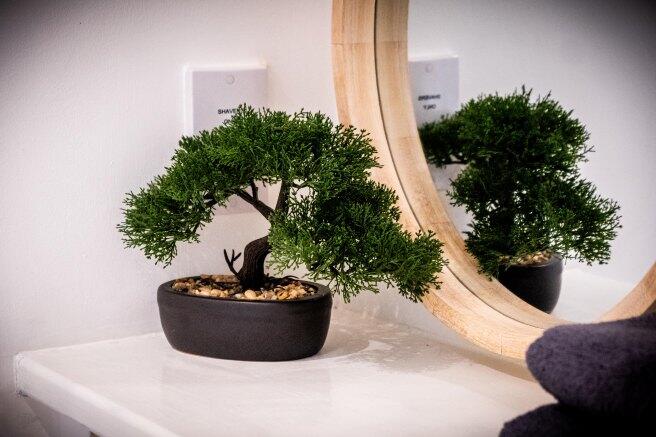 Additional image 28 of 165 Granville Street