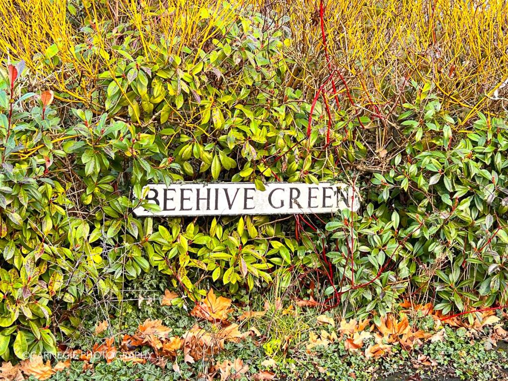 Additional image 19 of Beehive Green, Welwyn Garden City