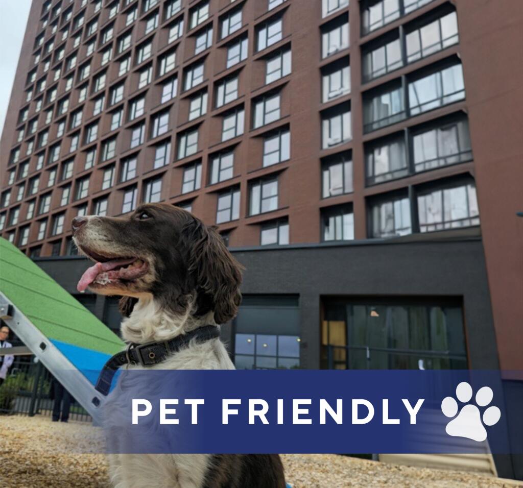 Additional image 22 of Ryland Street, Birmingham, B15